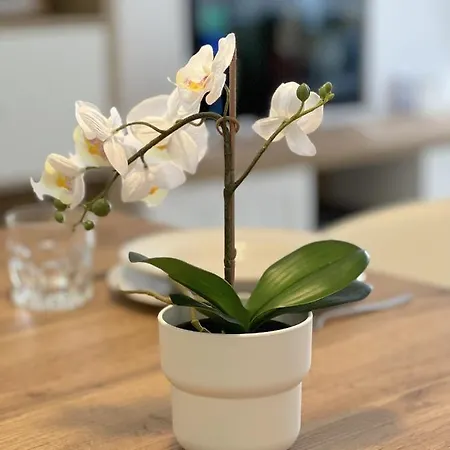 Casahost Bastian Boutique Ii Seaview 아파트