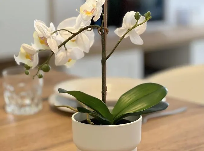 Casahost Bastian Boutique Ii Seaview 아파트